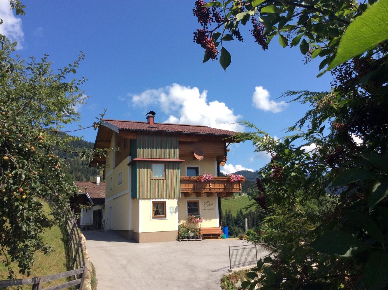 Haus Erika Apartment Wagrain Exterior photo