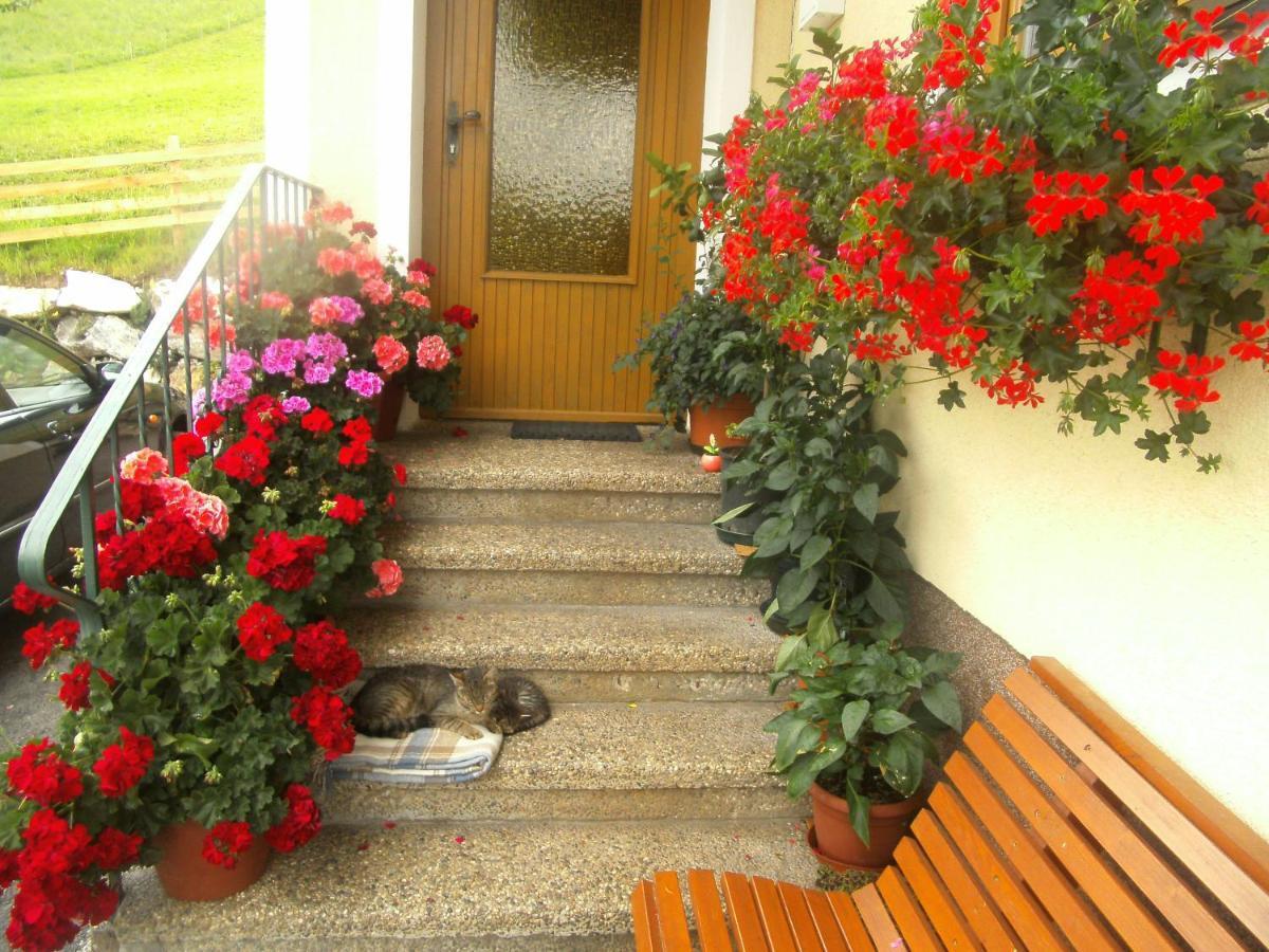 Haus Erika Apartment Wagrain Exterior photo
